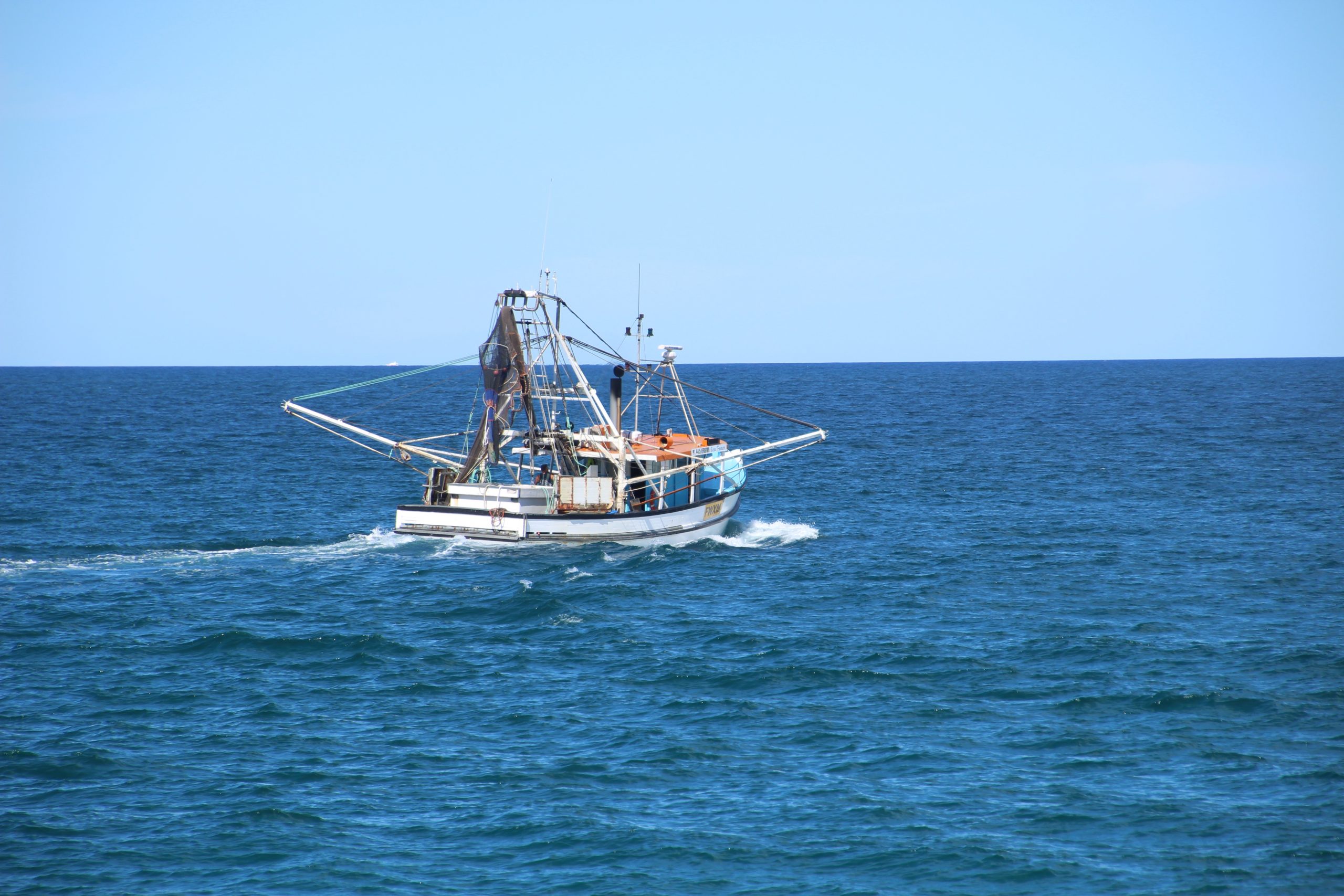 Lower Your Nets for a Catch